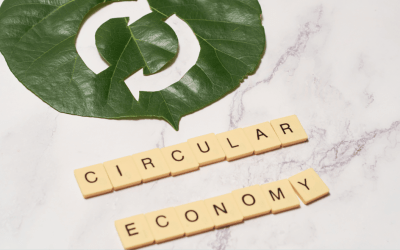 Circular Economy in Hospitals: Medical Remanufacturing Making Healthcare Greener