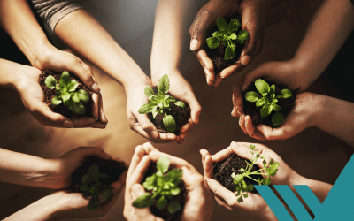 Taking Responsibility for the Future: Vanguard’s Sustainability Update