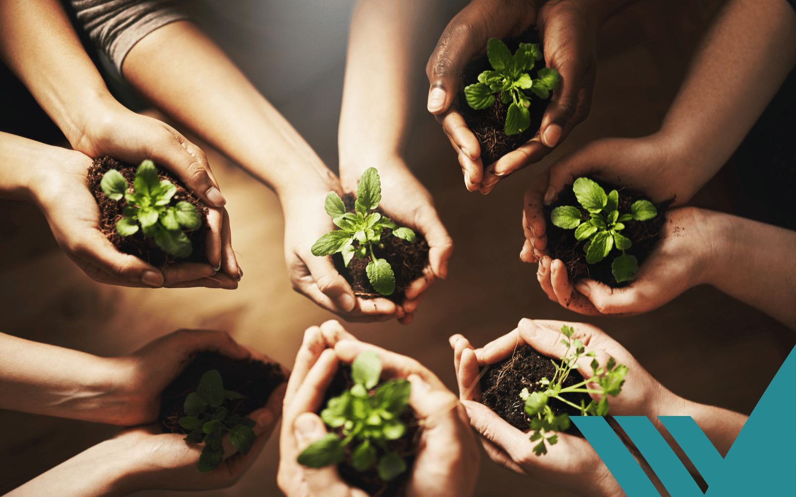 Blog post image header