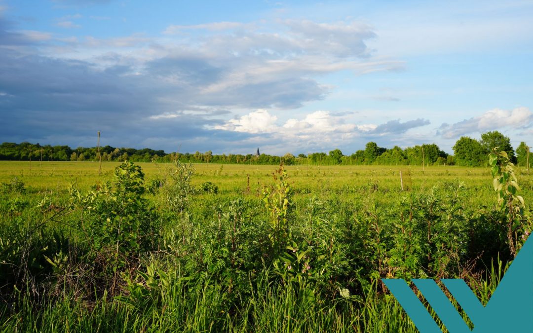 MedTech trifft Landwirtschaft: Agroforstprojekt