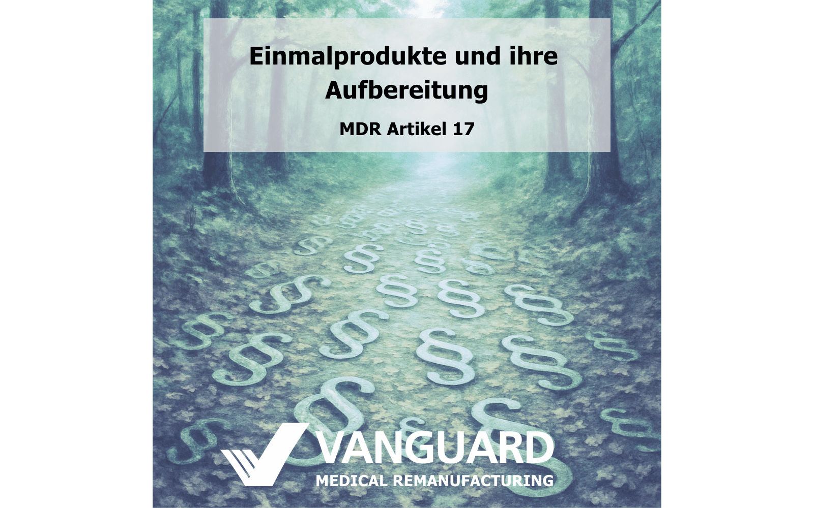 Blog post image header Blog post image header