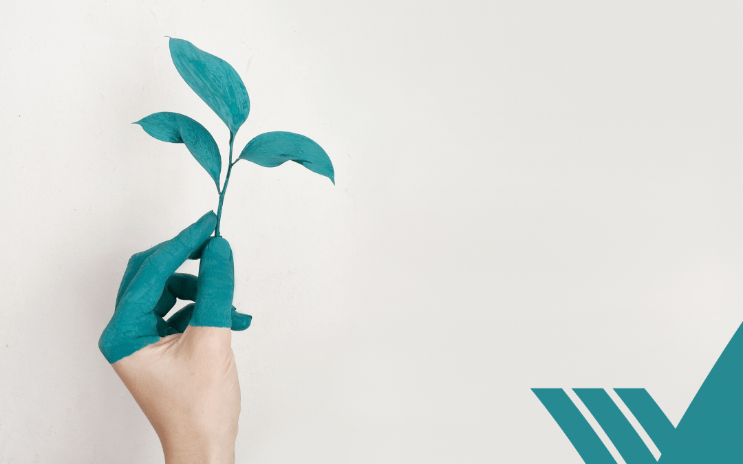 Environmental Handprint: Ein neuer Ansatz zur Hervorhebung positiver Umweltwirkungen