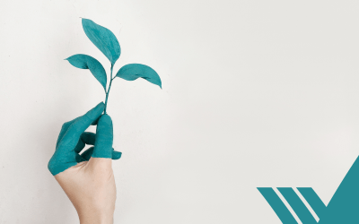 Environmental Handprint: Ein neuer Ansatz zur Hervorhebung positiver Umweltwirkungen