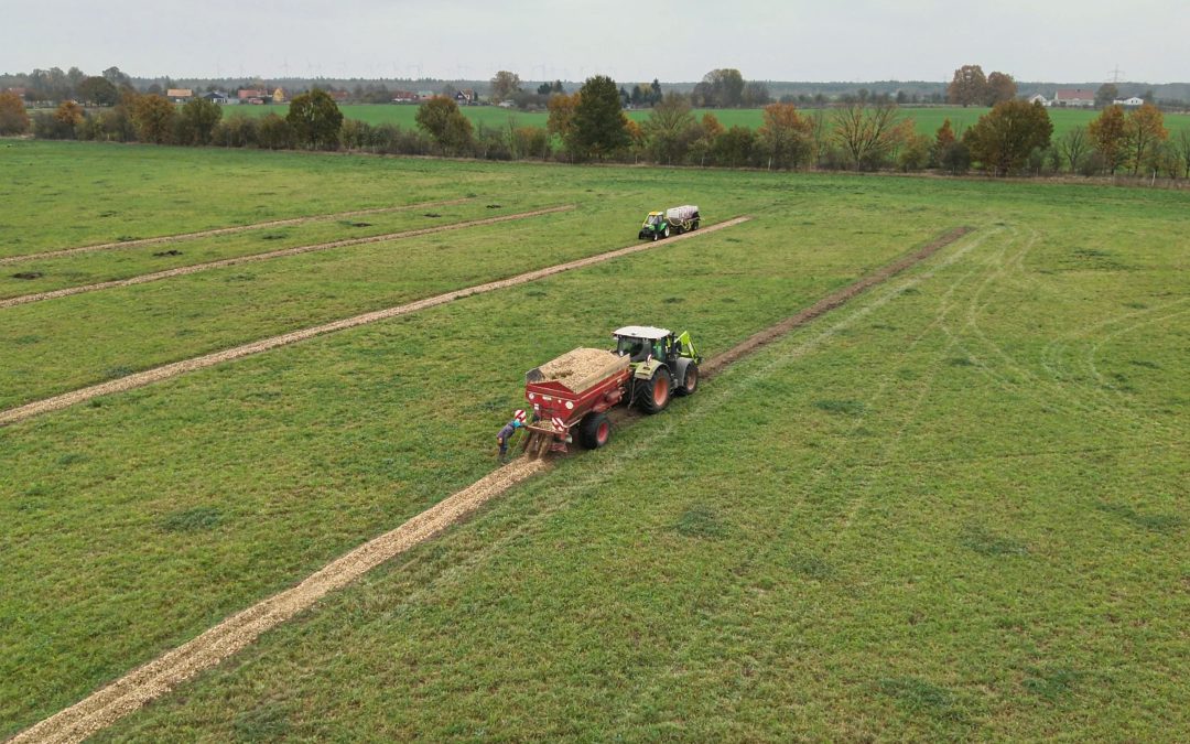 Update Agroforstprojekt: Auf Schlag 701 entsteht ein vielfältiges Ökosystem