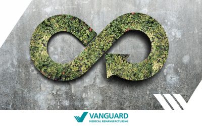 Circular Economy Hub Berlin: Neue Lernplattform macht Kreislaufwirtschaft greifbar